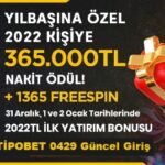 tipobet365 0429 giriş