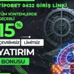 tipobet 0432 yeni giriş