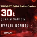 tipobet 365 0474 yeni giriş