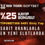 tipobet365 0491 yeni giriş