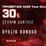 tipobet 0499 yeni giriş
