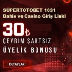 Tipobet 1031 yeni giriş