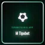 M Tipobet mobil platformuna akıllı telefondan erişen kullanıcı