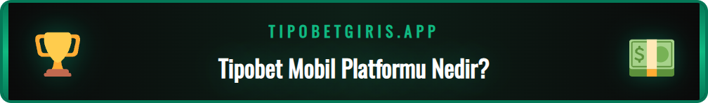 Mobil Tipobet platformunun akıllı telefon üzerindeki kullanıcı dostu arayüzü.