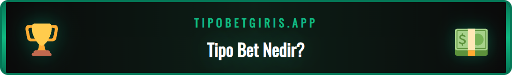 Tipo Bet platformunun ne olduğu ve temel çalışma prensipleri.