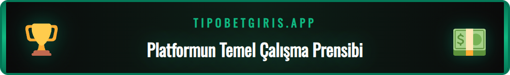 Tipobet 365 Tipobet nedir sorusunu yanıtlayan bilgi grafiği