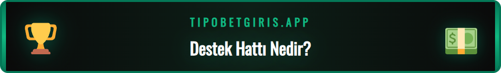 Tipobet destek hattı çalışma prensiplerini gösteren bir grafik.