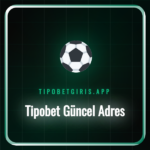 Tipobet güncel adres bilgileri ve platformun ana sayfası.