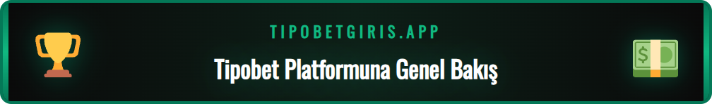 Tipobet güncel giriş adresi üzerinden platformun özelliklerini keşfetme.