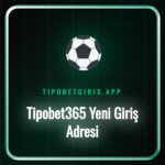 Tipobet365 yeni giriş adresi üzerinden platforma erişen bir kullanıcı.